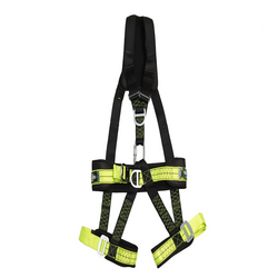 Pioneer Technical Harness