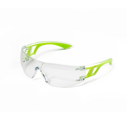 Goggle