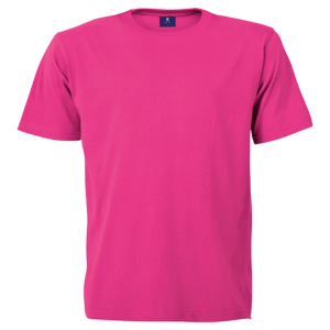 145g Barron Crew Neck T-Shirt - Image 5