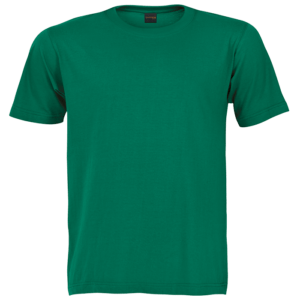 145g Barron Crew Neck T-Shirt - Image 8