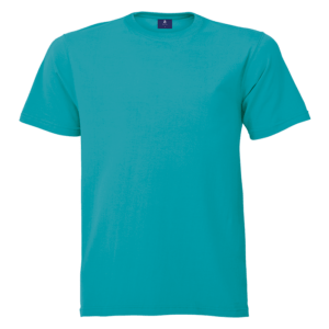 160g Barron Crew Neck T-Shirt - Image 15