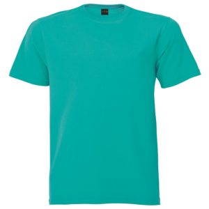 160g Barron Crew Neck T-Shirt - Image 5