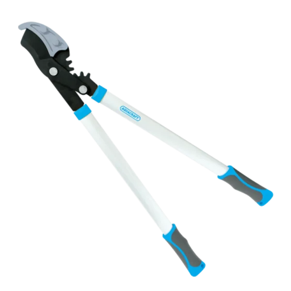 AQ360703