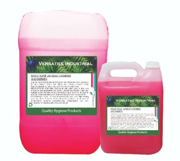 HAND-SOAP-ANTI-BAC-PINK.jpg